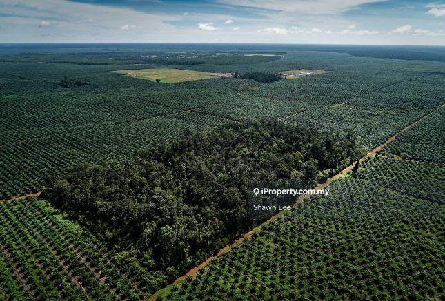 Agricultural Land for Sale in Banting, Banting by Shawn Lee - iProperty.com.my