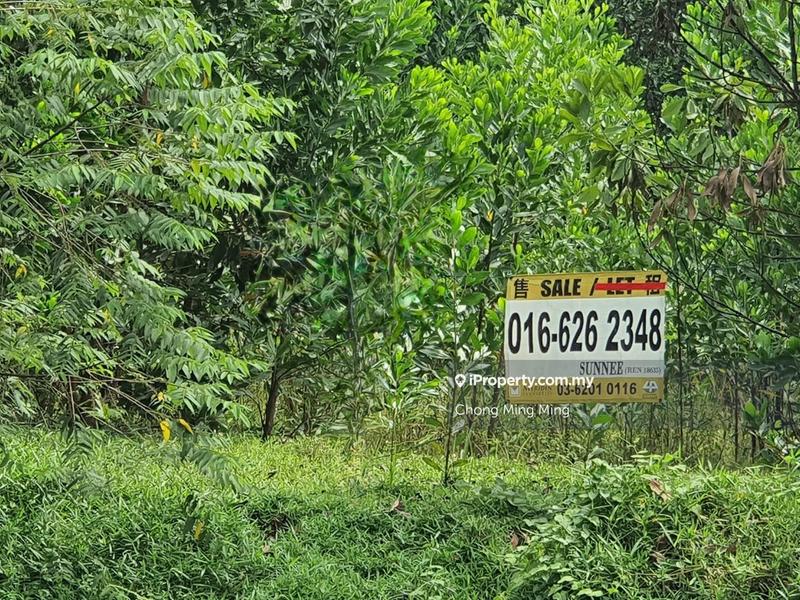 Agricultural Land for Sale in Lendu, Alor Gajah by Chong Ming Ming - iProperty.com.my