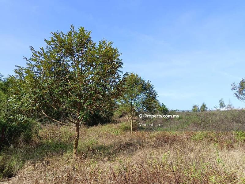 Tanah Pertanian untuk Dijual di Simpang Pertang, Negeri Sembilan oleh Vincent Lim - iProperty.com.my