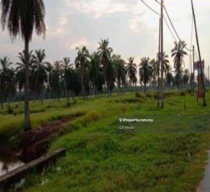 Agricultural Land for Sale in Selangor Kuala Langat Morib Banting 42700, Banting by CY Khoo - iProperty.com.my
