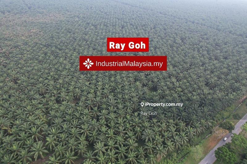 Agricultural Land for Sale in Kampung Kanchong Tengah, Banting by Ray Goh - iProperty.com.my