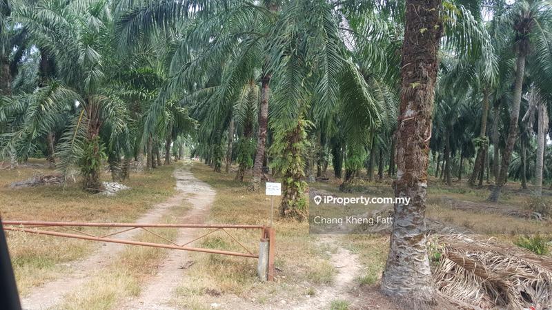 Tanah Perindustrian untuk Dijual di Kampung Teluk Mengkuang, Telok Panglima Garang oleh Chang Kheng Fatt - iProperty.com.my