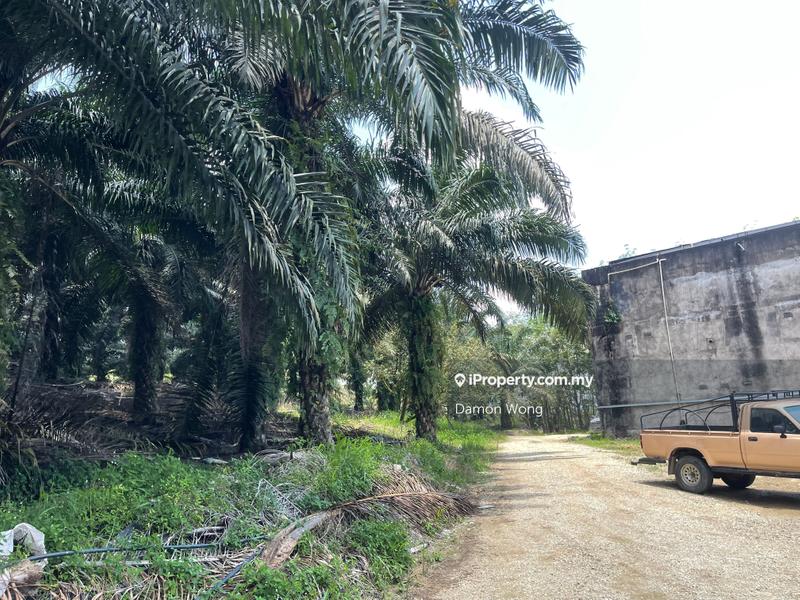 Tanah Pertanian untuk Dijual di Karak, Bentong oleh Damon Wong - iProperty.com.my