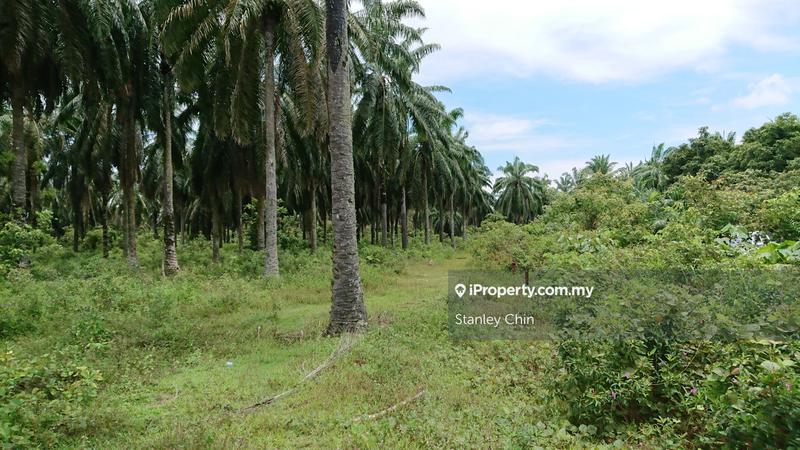 Tanah Perindustrian untuk Dijual di Bestari Jaya, Selangor oleh Stanley Chin - iProperty.com.my