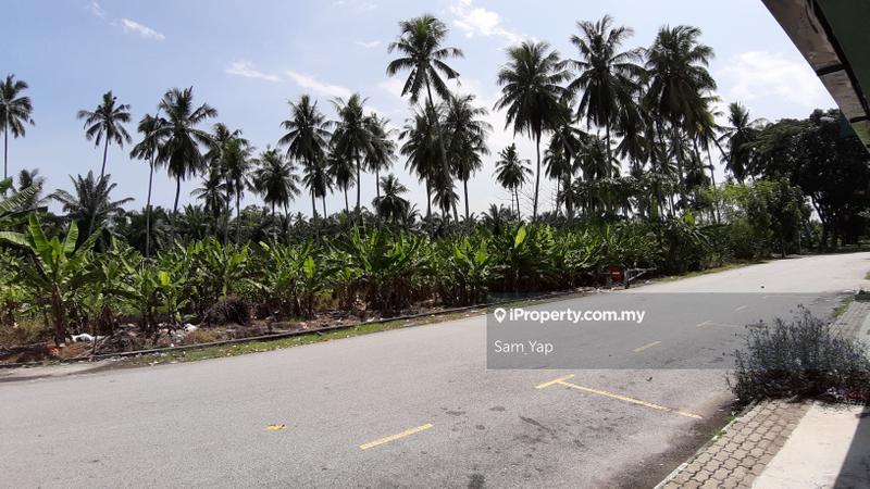 Agricultural Land for Rent in Kapar Batu 13, Klang by Sam Yap - iProperty.com.my