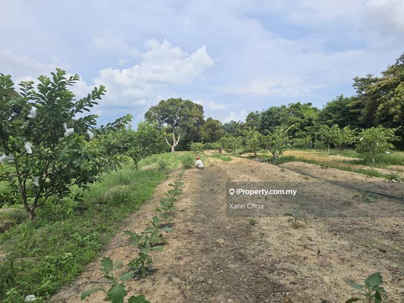 Agricultural Land for Sale in Taman Bemban Baru, Bemban by Xann Chua - iProperty.com.my