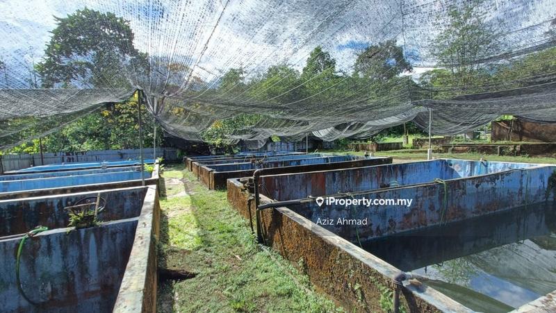 Agricultural Land for Sale in Kuala Pangsoon, Hulu Langat by Aziz Ahmad - iProperty.com.my