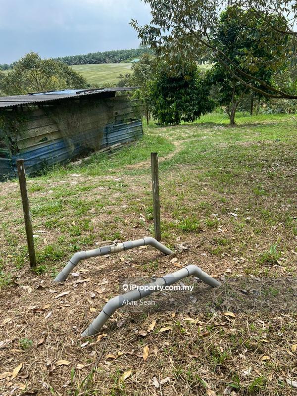 Tanah Pertanian untuk Dijual di Senai, Johor oleh Alvin Seah - iProperty.com.my