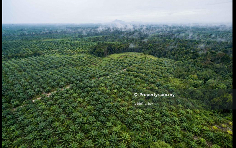 Agricultural Land for Sale in Kuala Pilah, Negeri Sembilan, Kuala Pilah by Sean Liew - iProperty.com.my