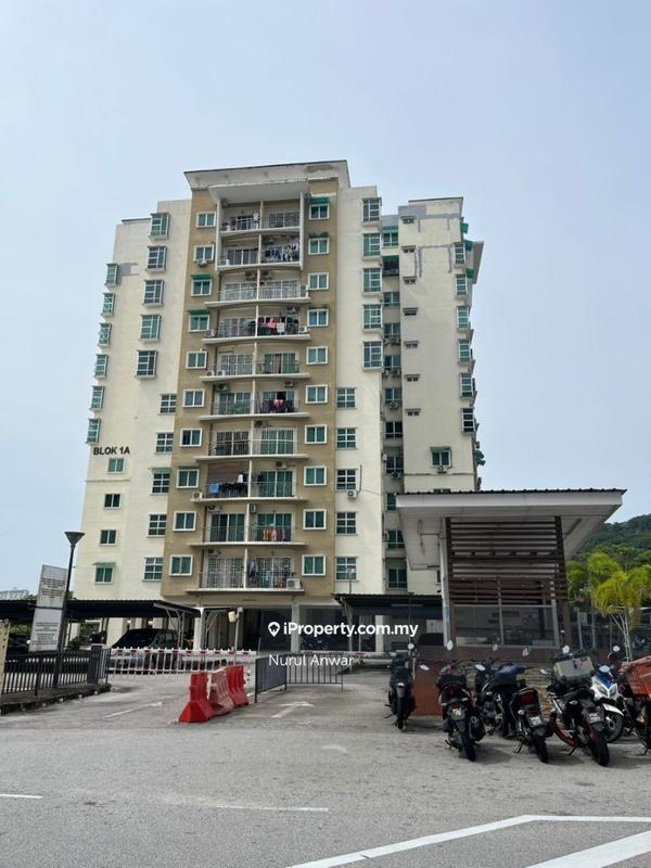 For Sale - Idaman Lavender