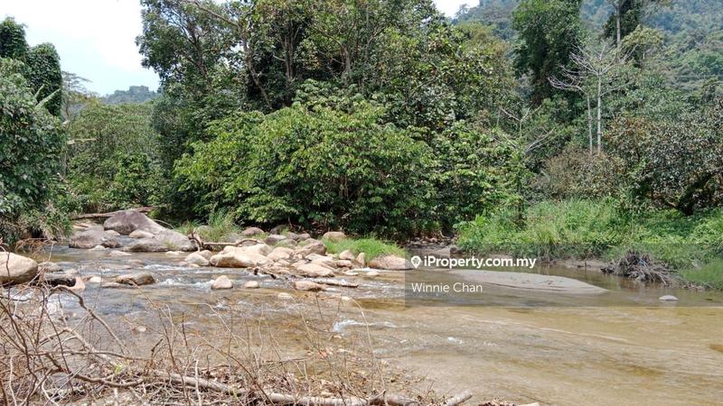Agricultural Land for Sale in Tapah Perak 550 Acres Freehold Agriculture Land, Tapah by Winnie Chan - iProperty.com.my