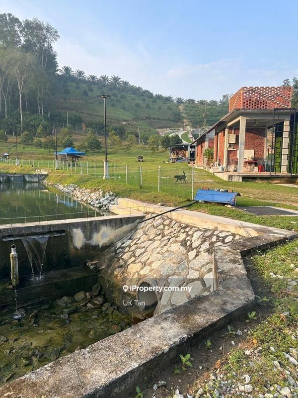 For Rent - Agriculture Land 6 Acres @ Serendah Rawang