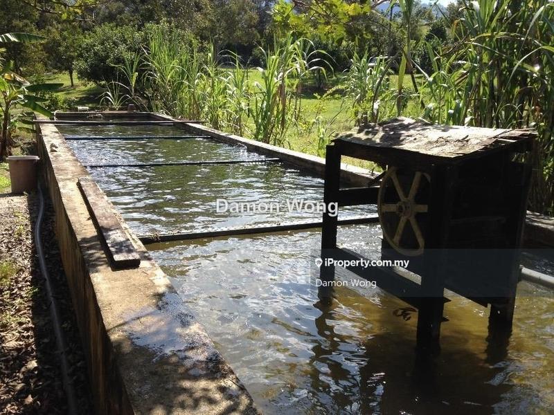 Agricultural Land for Sale in Bukit Tinggi, Bentong by Damon Wong - iProperty.com.my