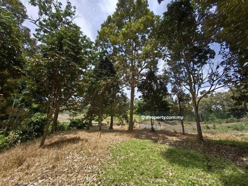 Agricultural Land for Sale in Bandar Lipis, Kuala Lipis by Vincent Tee - iProperty.com.my