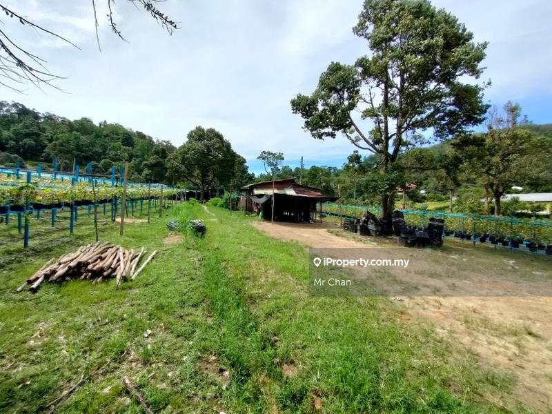 Tanah Pertanian untuk Dijual di Hulu Semenyih, Semenyih oleh Mr Chan - iProperty.com.my