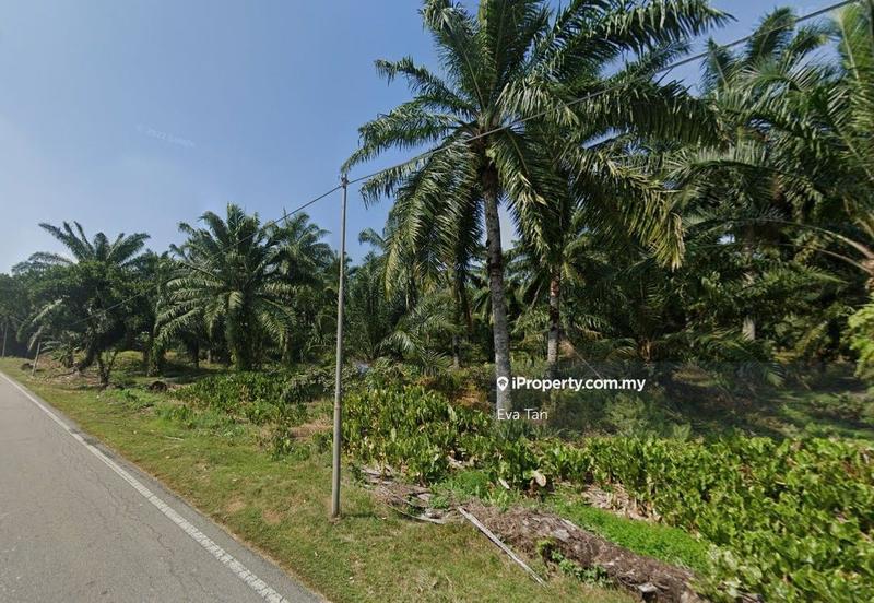 Tanah Perindustrian untuk Dijual di Kampung Teluk Mengkuang, Telok Panglima Garang oleh Eva Tan - iProperty.com.my