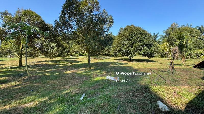 Agricultural Land for Sale in Port Dickson, Negeri Sembilan by David Cheok - iProperty.com.my