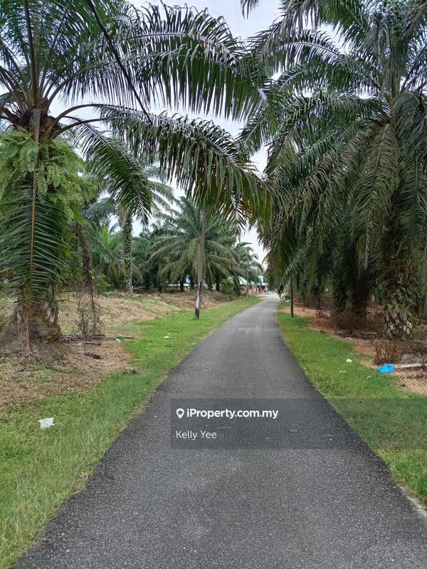Tanah Pertanian untuk Dijual di Kampung Ladang Sempah, Sungai Jawi oleh Kelly Yee - iProperty.com.my