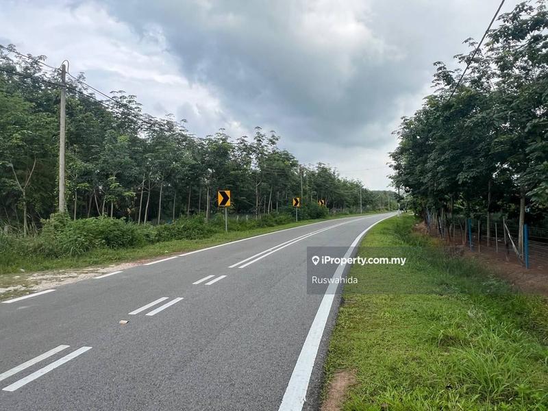 Agricultural Land for Sale in Asun, Jitra by Ruswahida - iProperty.com.my