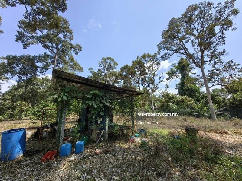 Agricultural Land for Sale in Bandar Baru Kuala Lipis, Kuala Lipis by Vincent Tee - iProperty.com.my