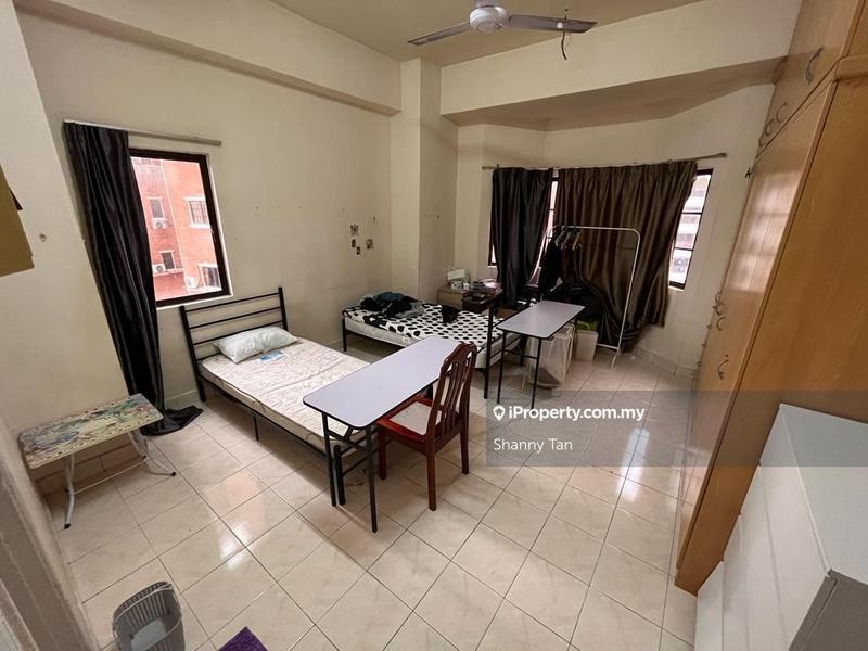 For Sale - Evergreen Park Scot Pine