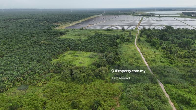 Tanah Pertanian untuk Dijual di Banting, Banting oleh Aziz Ahmad - iProperty.com.my