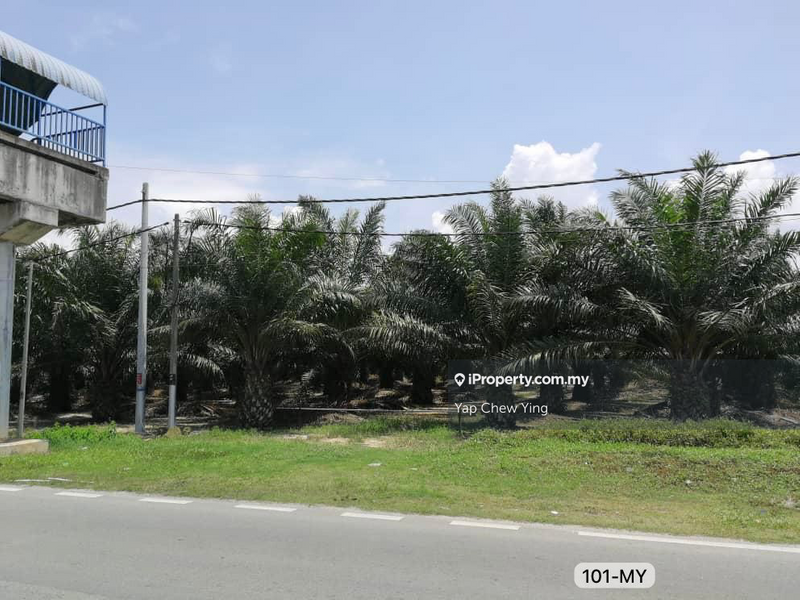 Agricultural Land for Sale in Assam Jawa, Kuala Selangor by Yap Chew Ying - iProperty.com.my