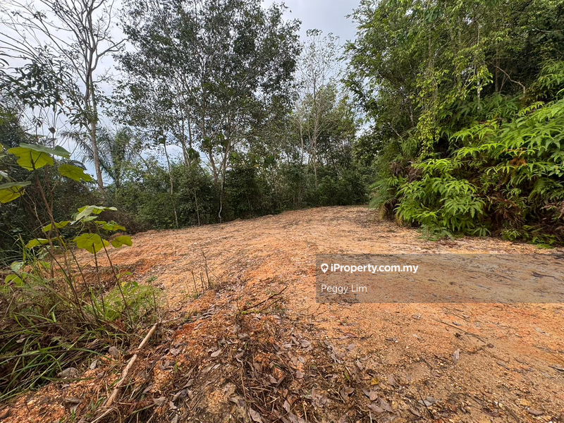 For Sale - Rasa, Serendah, Batang Kali, Ulu Selangor Agriculture Land