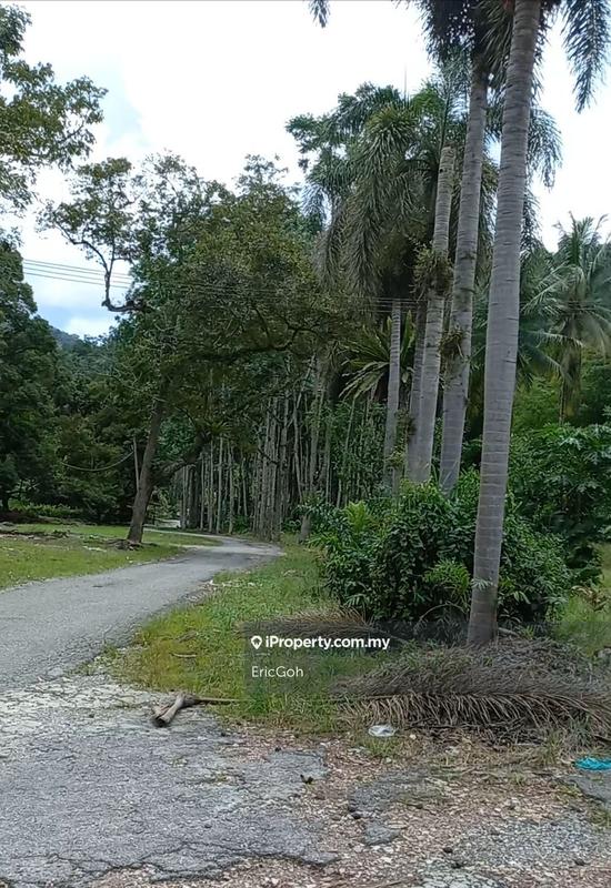 For Sale - Along Jalan Tapah-Brinchang Blue Valley