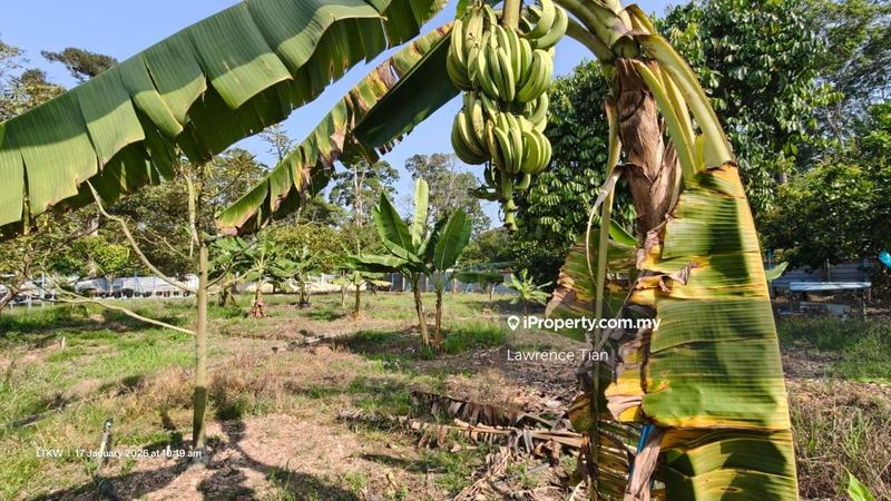 Tanah Pertanian untuk Dijual di Kampung Nyatoh, Rantau oleh Lawrence Tian - iProperty.com.my