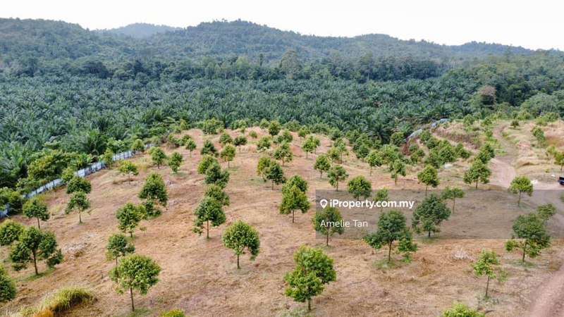 For Sale - Pahang Kuantan Gambang