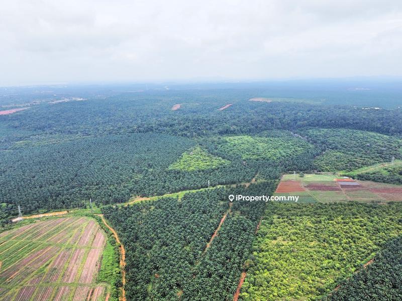 Agricultural Land for Sale in Kampung Batu 7, Port Dickson by Mohamad Faleeq - iProperty.com.my