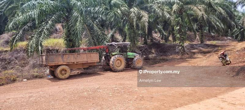 Agricultural Land for Sale in Batu Kurau, Perak by Amelyn Lee - iProperty.com.my