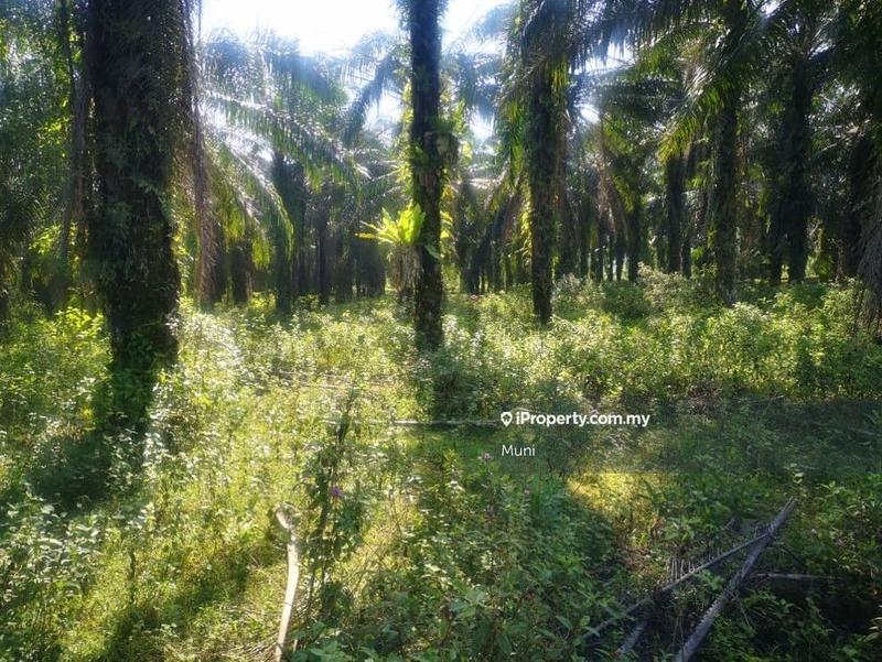 Agricultural Land for Sale in Ipoh Country Park, Gopeng by Muni - iProperty.com.my