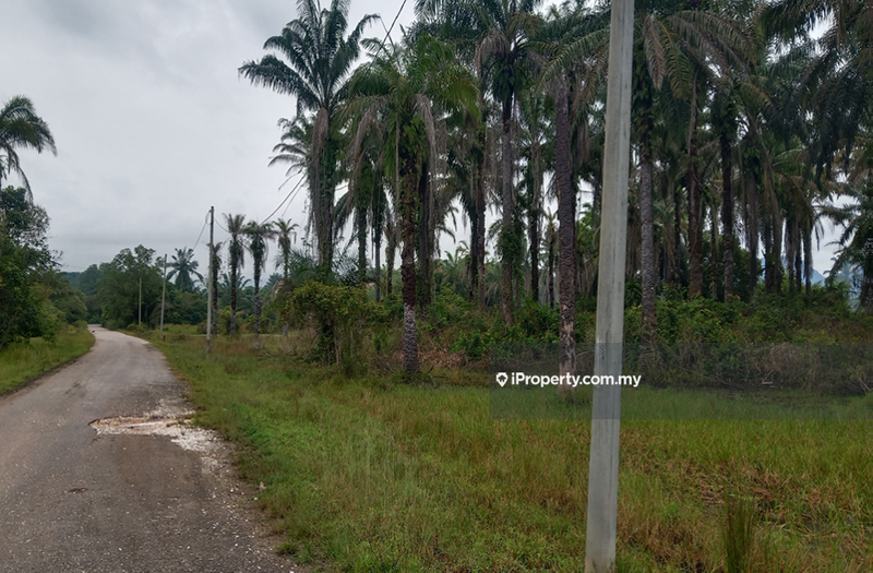 Agricultural Land for Sale in Ipoh Country Park, Gopeng by Muni - iProperty.com.my