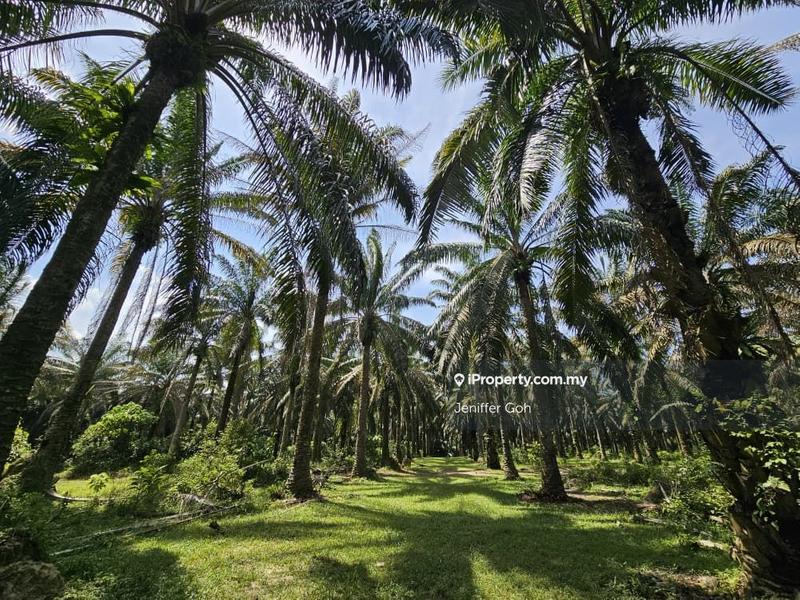 Industrial Land for Sale in v1wto, Tasek Gelugor by Jeniffer Goh - iProperty.com.my