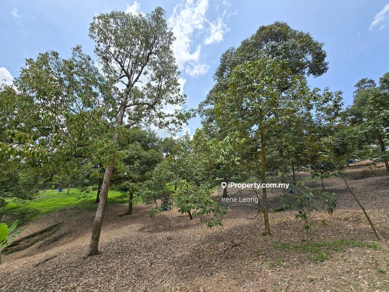 Agricultural Land for Sale in Karak, Pahang by Irene Leong - iProperty.com.my