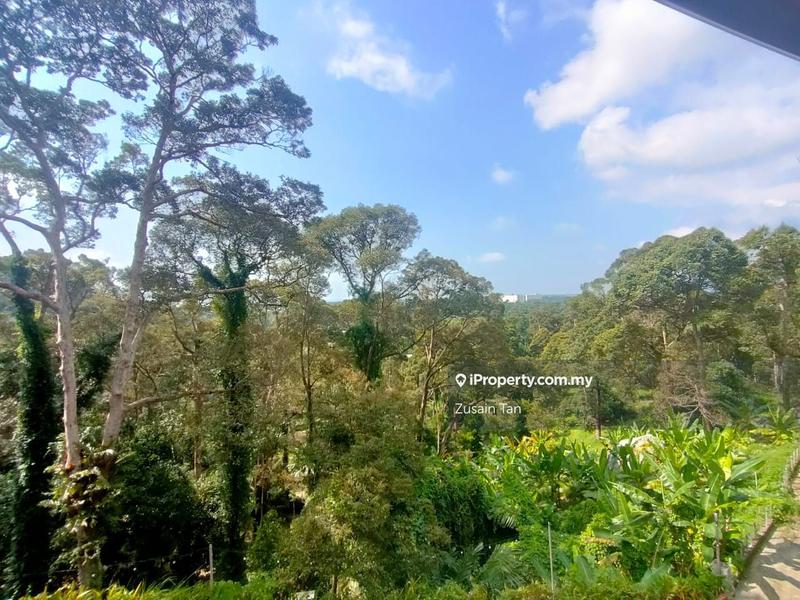 Agricultural Land for Sale in Pulau Betong, Balik Pulau by Zusain Tan - iProperty.com.my