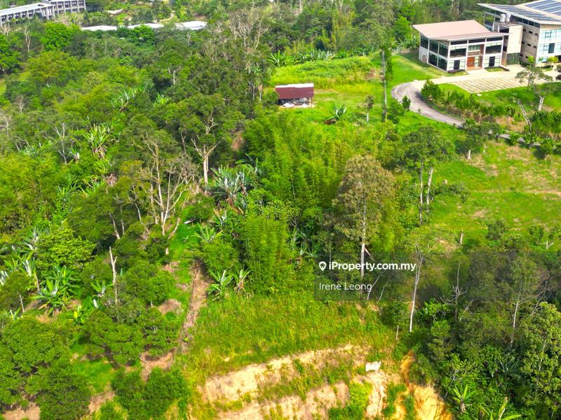 Agricultural Land for Sale in Bukit Tinggi, Bentong by Irene Leong - iProperty.com.my