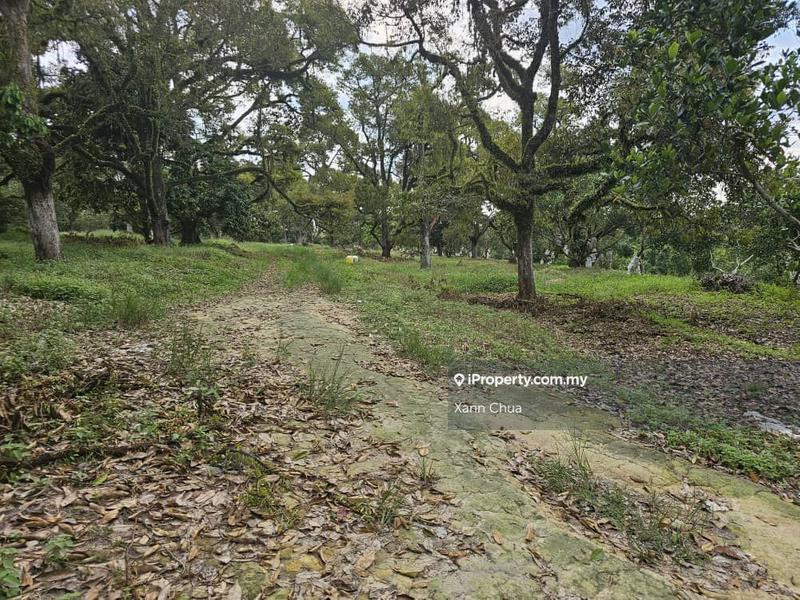 Agricultural Land for Sale in Taman Bemban Baru, Bemban by Xann Chua - iProperty.com.my