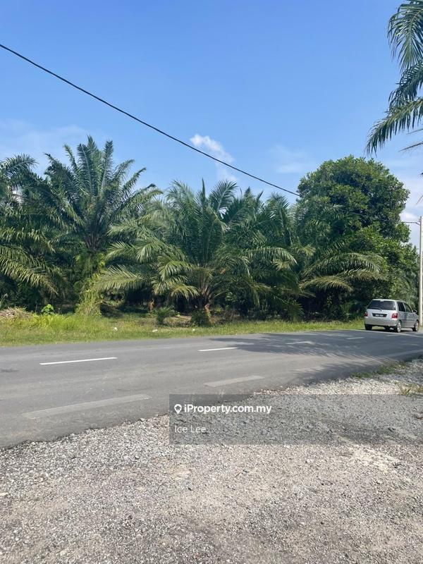 Agricultural Land for Rent in Kampung Jenjarom, Jenjarom by Ice Lee - iProperty.com.my