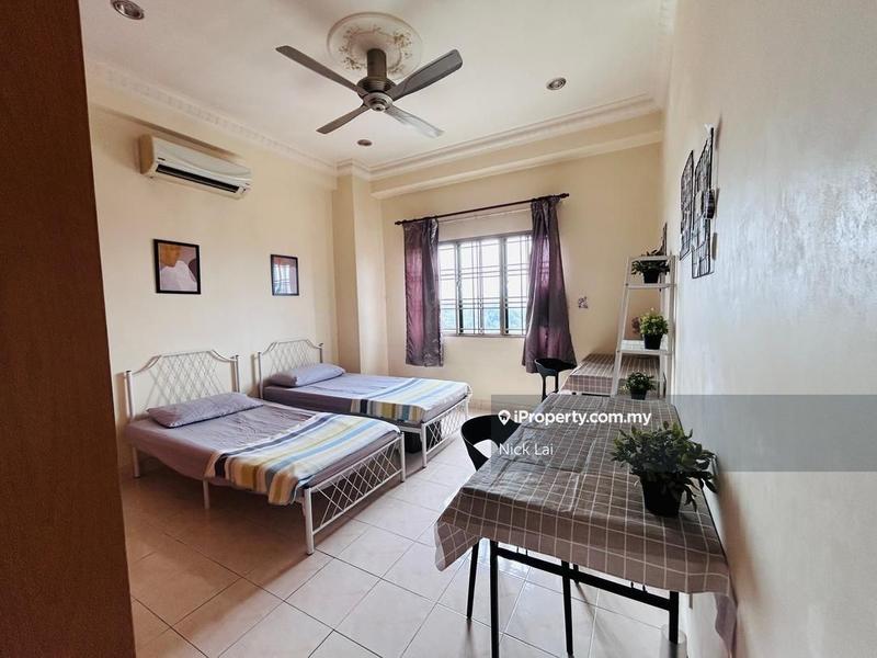 For Sale - Evergreen Park Scot Pine