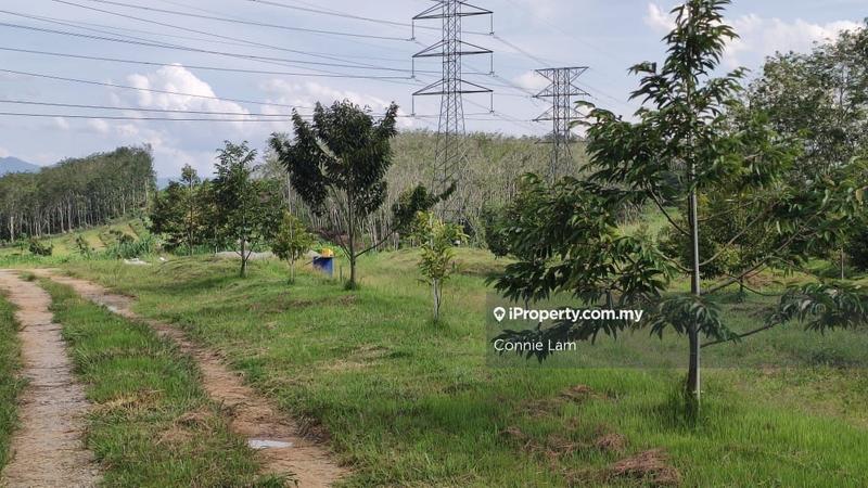 For Sale - Lenggong perak