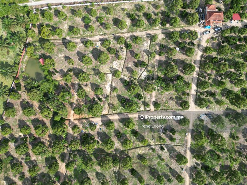 Agricultural Land for Sale in Karak Cinta Manis, Karak by Irene Leong - iProperty.com.my