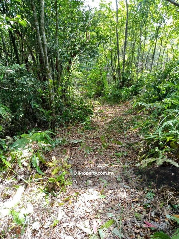 Agricultural Land for Sale in Teluk Bahang, Penang by Zusain Tan - iProperty.com.my