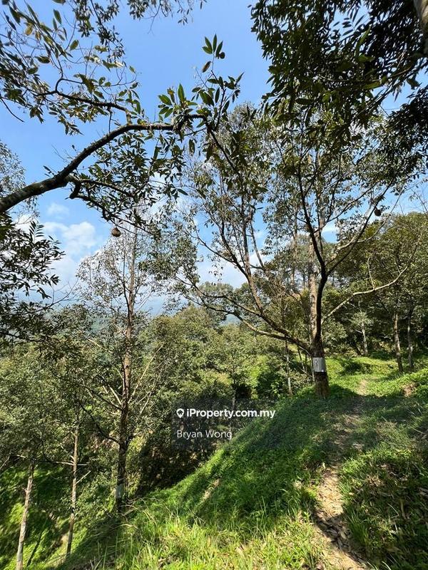 Tanah Pertanian untuk Dijual di Bentong, Pahang oleh Bryan Wong - iProperty.com.my