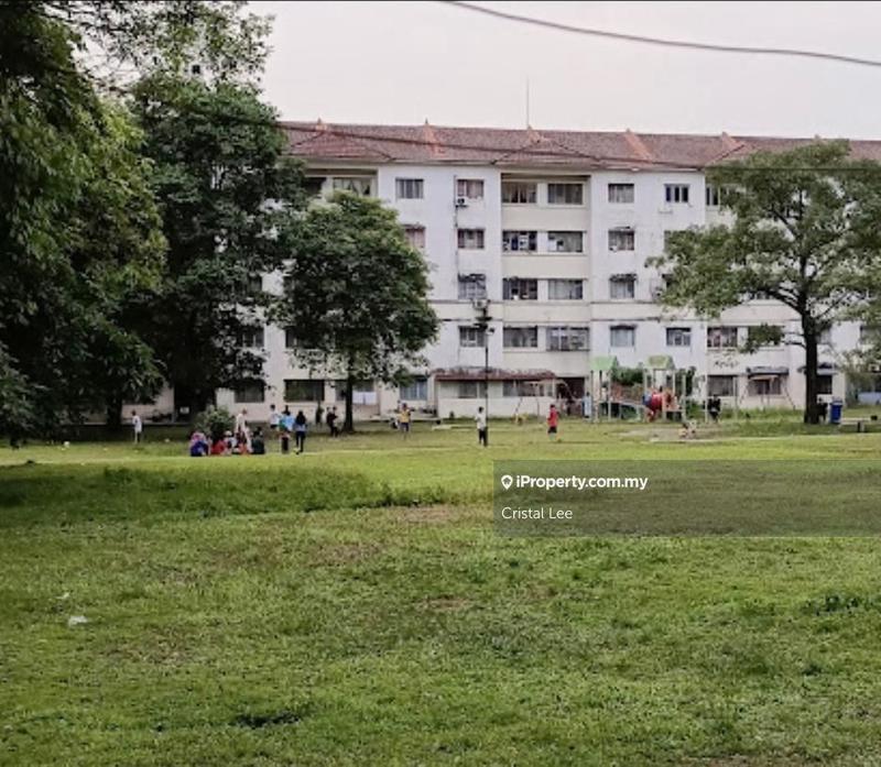 For Sale - Sri Begonia