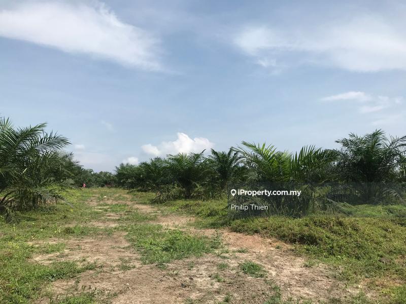 Agricultural Land for Sale in Kuala Selangor, Selangor by Philip Thien - iProperty.com.my