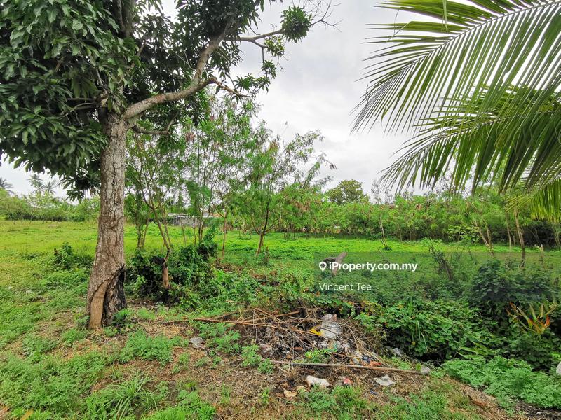 Tanah Pertanian untuk Dijual di Kelicap Senggarang, Batu Pahat oleh Vincent Tee - iProperty.com.my