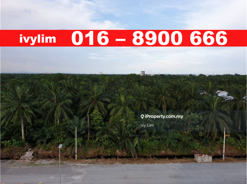 Tanah Perindustrian untuk Disewa di West Port, Pulau Indah, Port Klang (Pelabuhan Klang) oleh Ivy Lim - iProperty.com.my